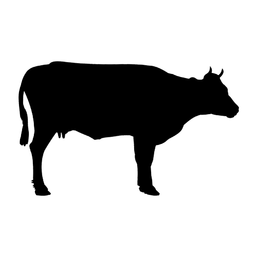 beef