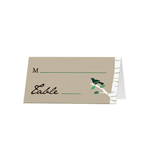 Birch Trees - Blank Folded Place Cards
