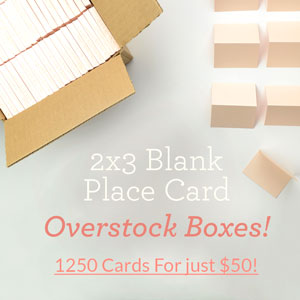 2x3 Blank Place Card Overstock Boxes