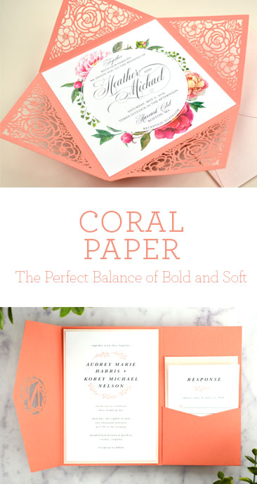 CORAL
PAPER -The Perfect Balance of Bold and Soft