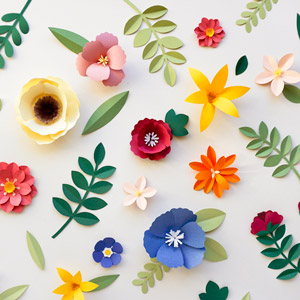 The Best Cardstock for Creating Paper Flowers – The 12x12