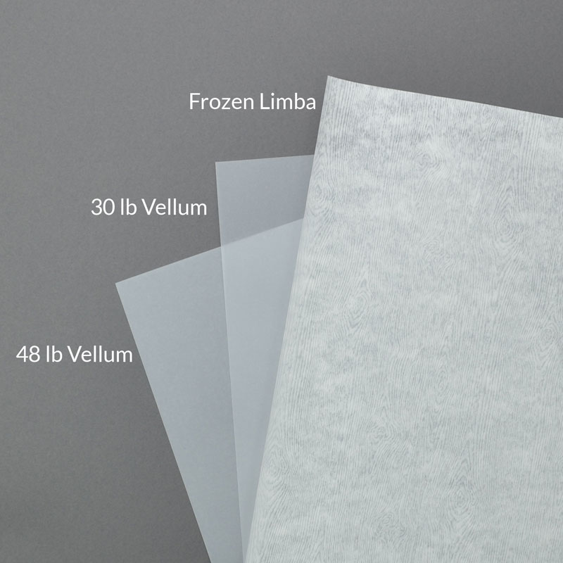 Blank (Un-scored) Translucent Vellum Wrap for 5x7 - SAMPLE